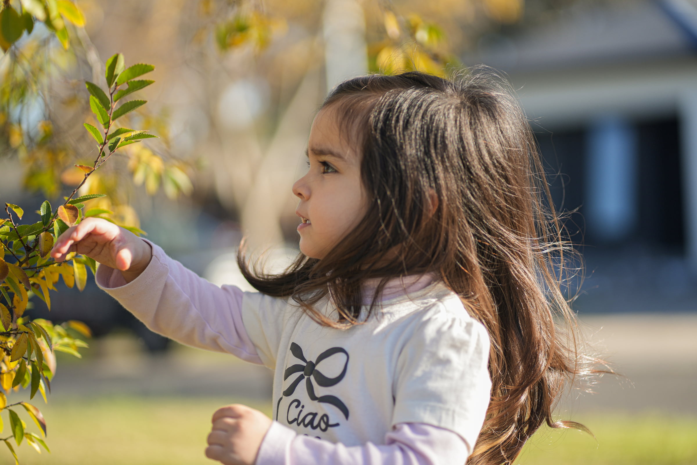 Melbourne family photography