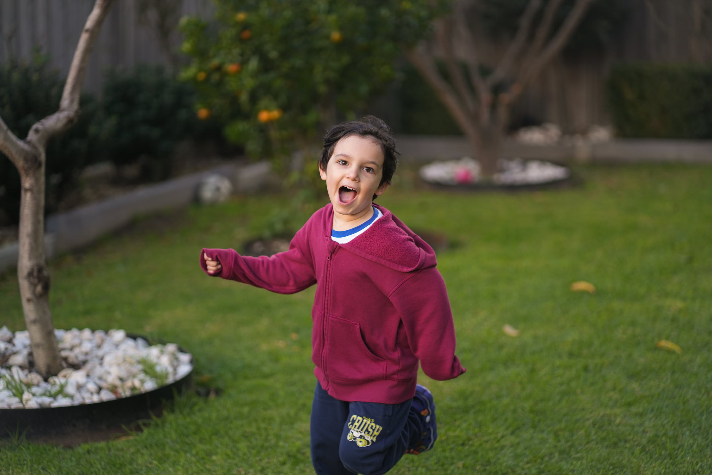 Melbourne family photography