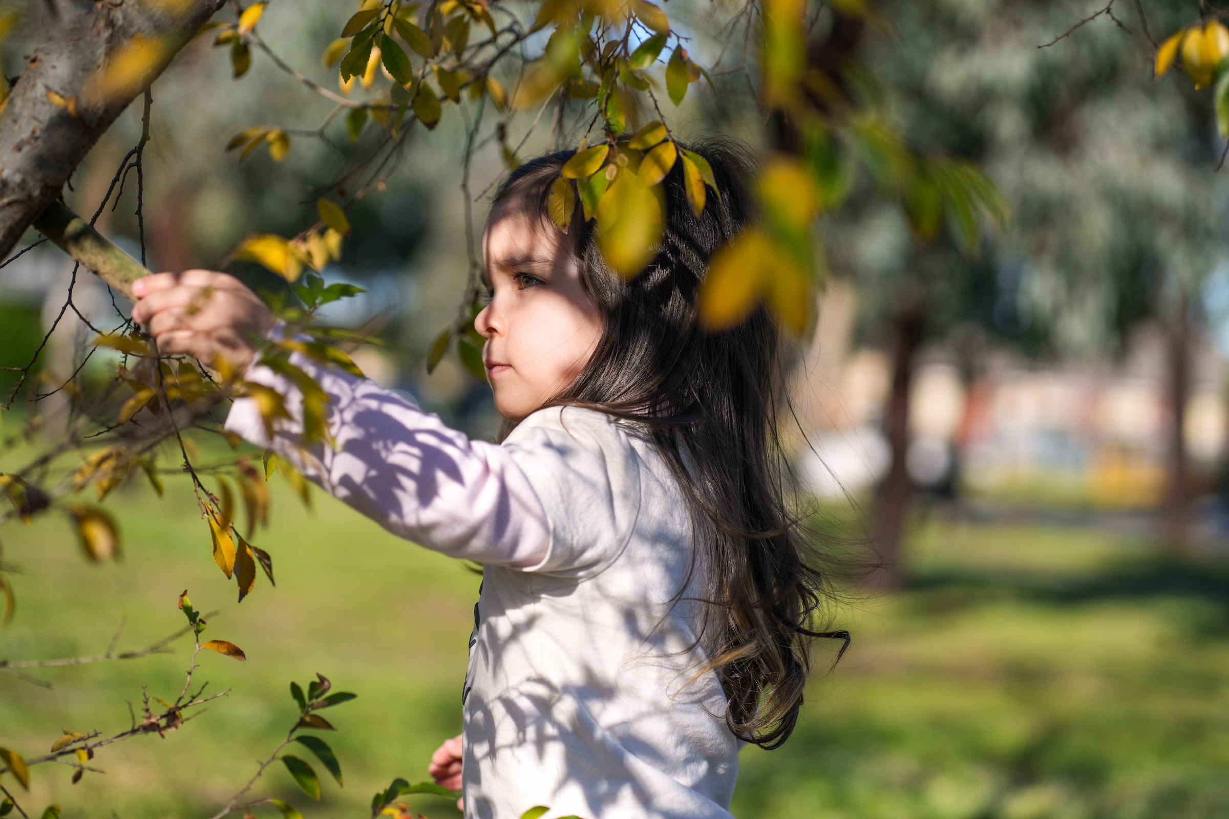 Melbourne family photography