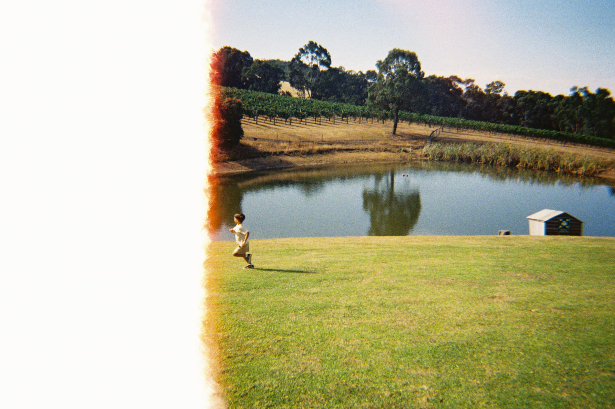 Half Good Photos film photography